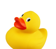 rubber duck